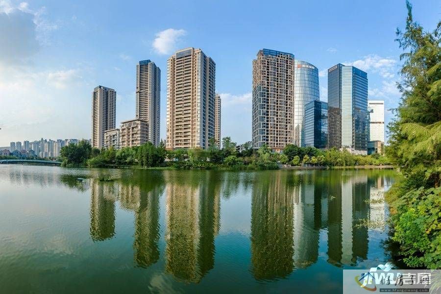 实景图