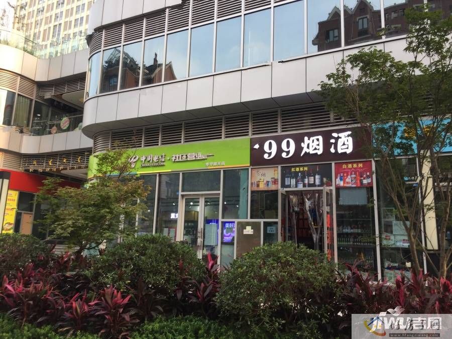 实景图