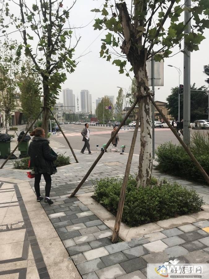 实景图