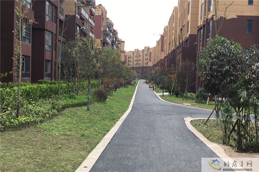 实景图