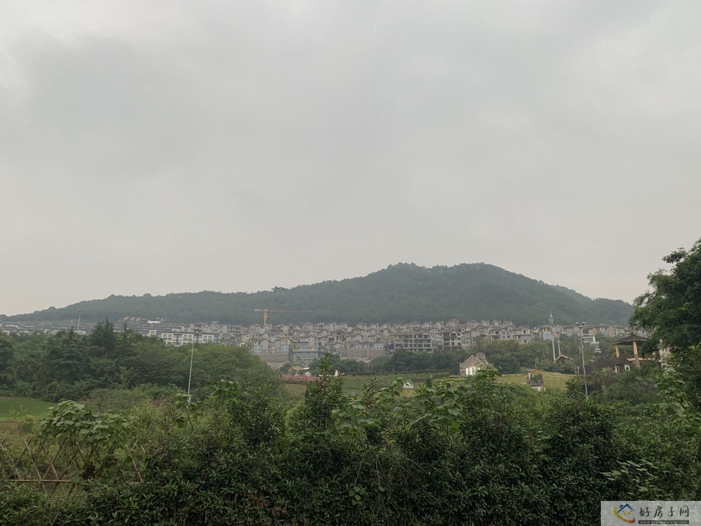 实景图