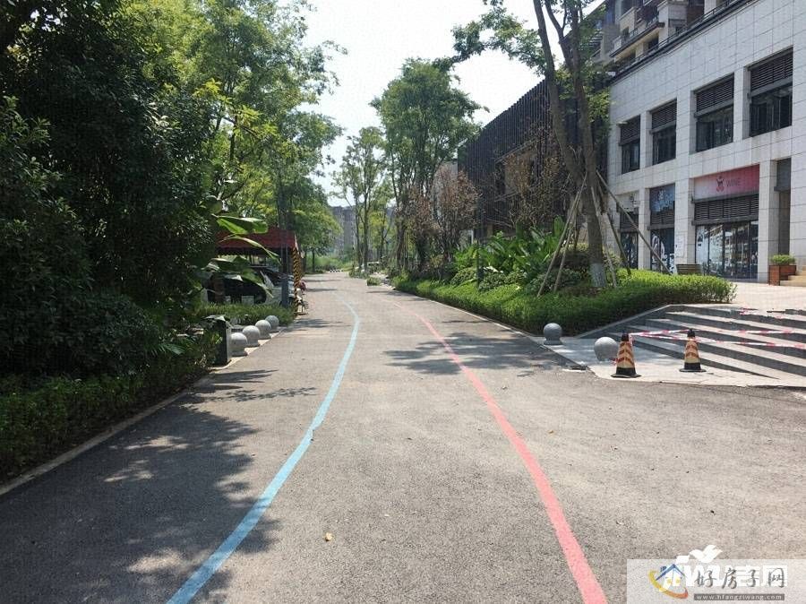实景图