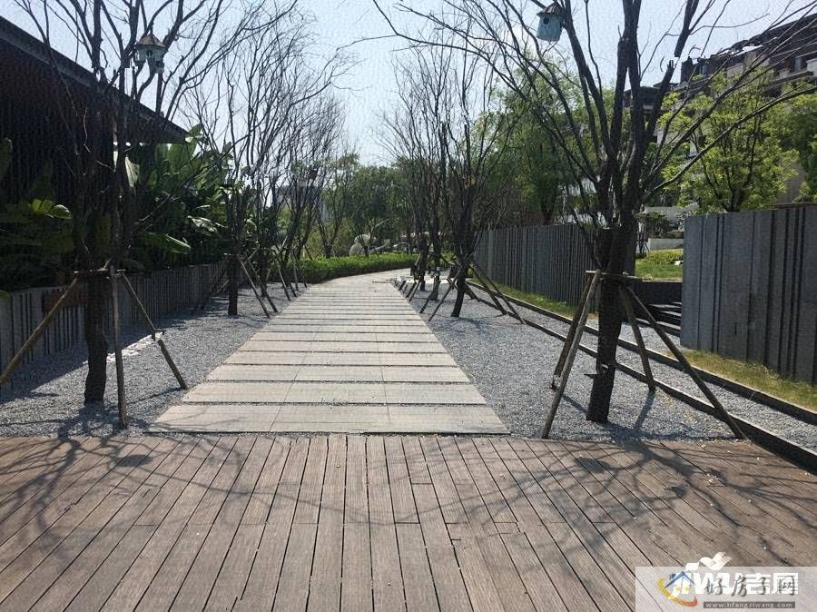 实景图