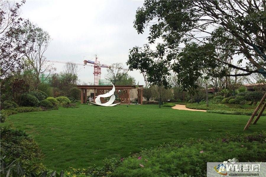 实景图