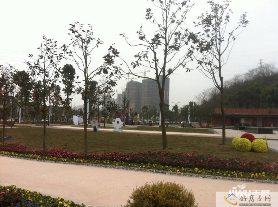 实景图
