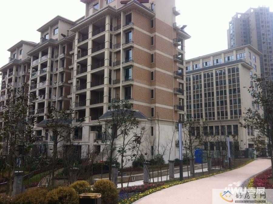实景图