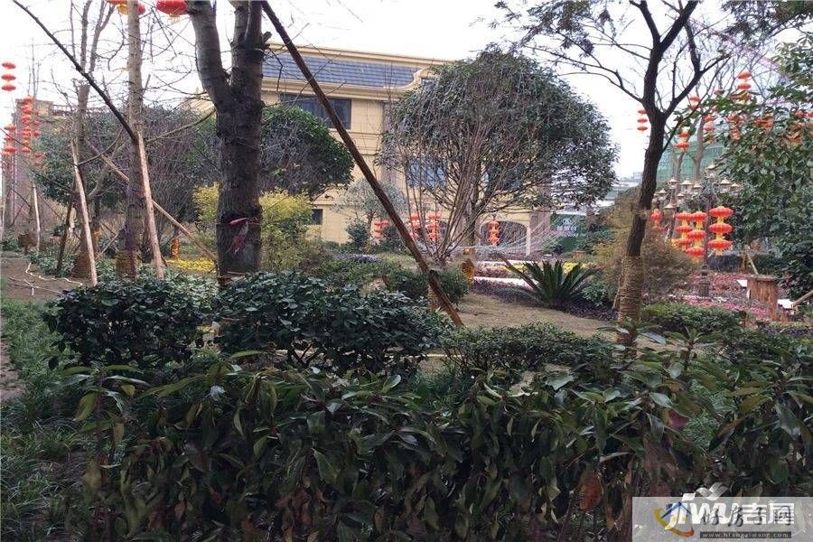 实景图