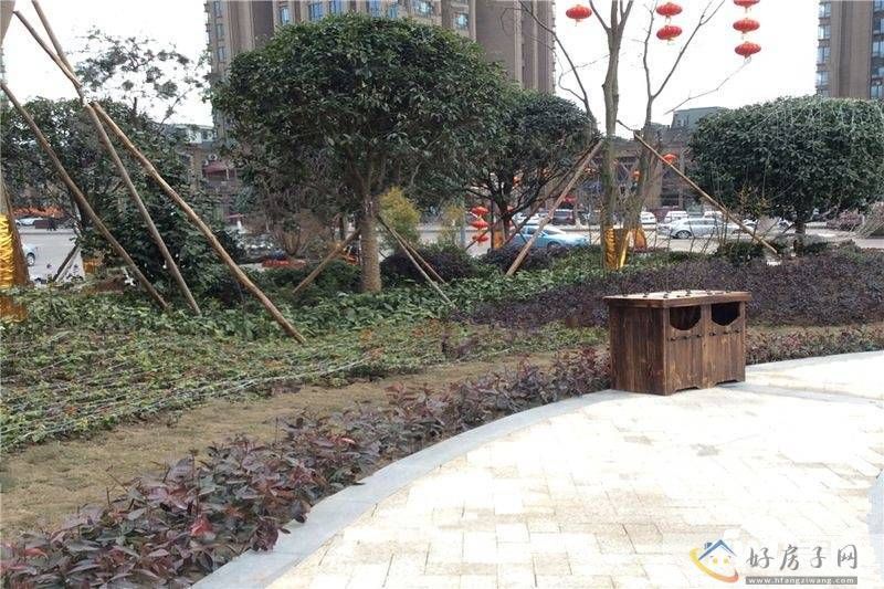 实景图