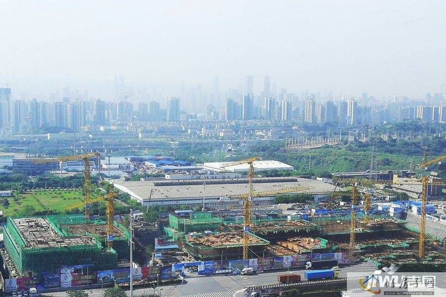 实景图