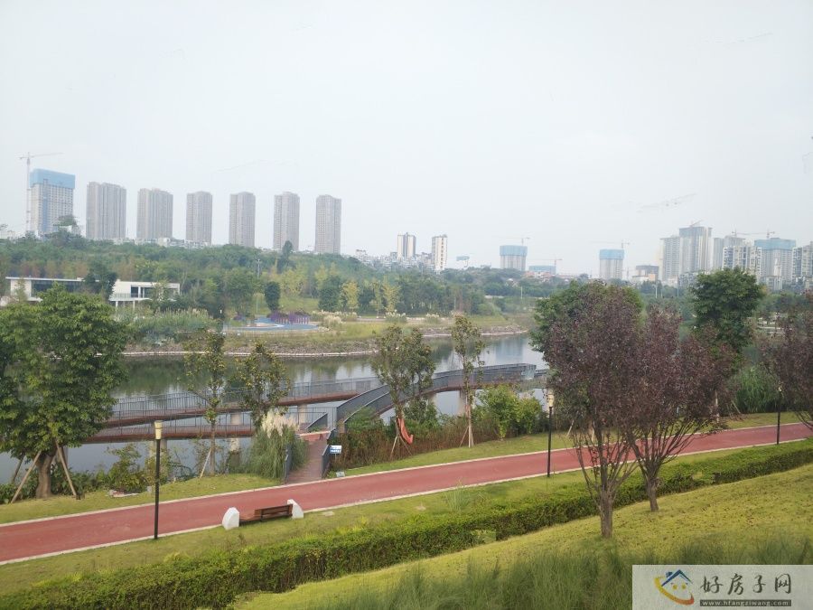 实景图