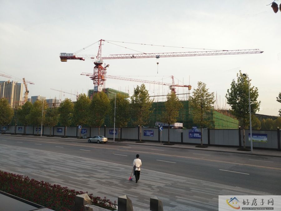 实景图