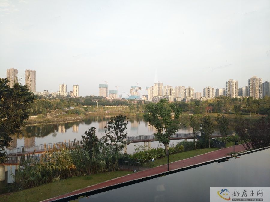 实景图