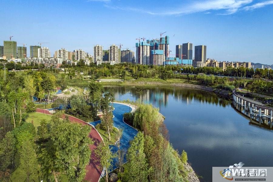 实景图