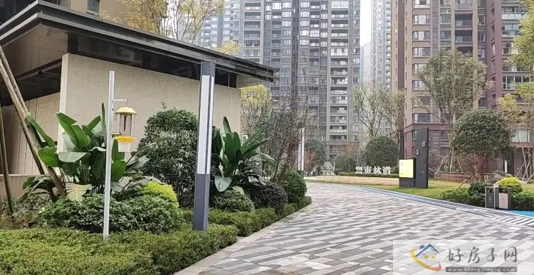 实景图