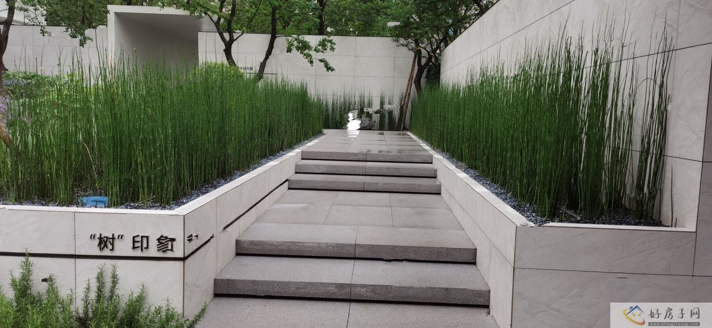 实景图