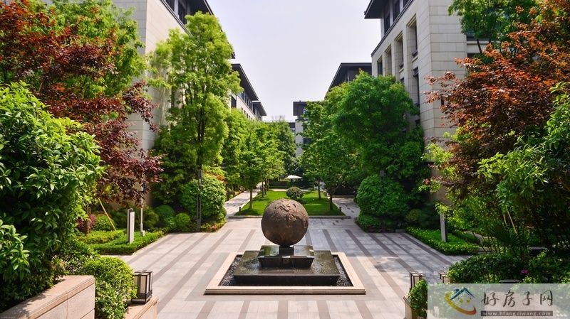 实景图