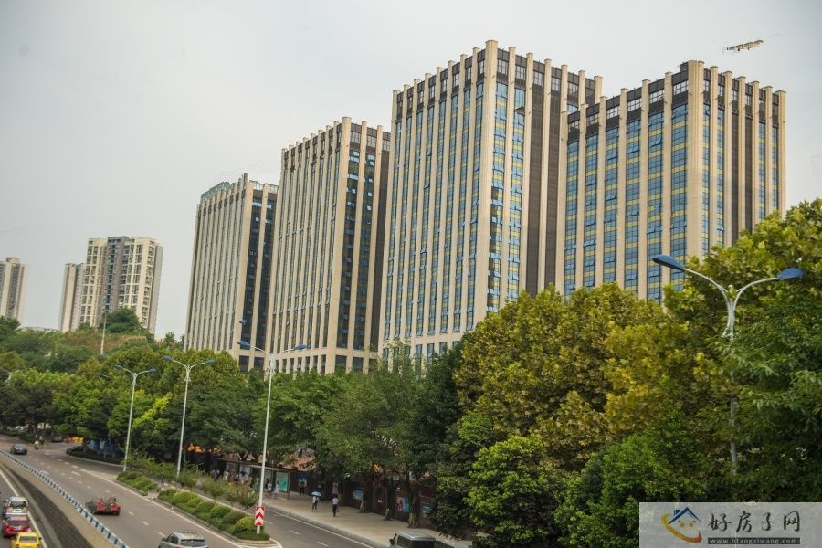 实景图