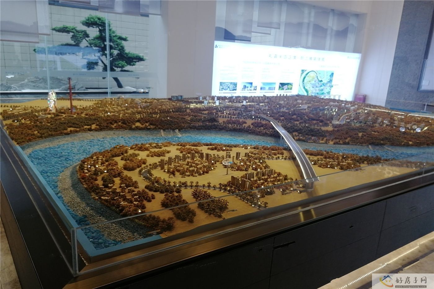 实景图