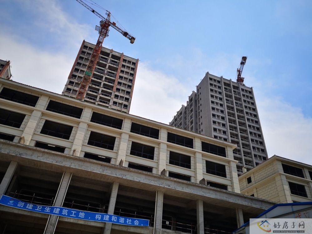 实景图