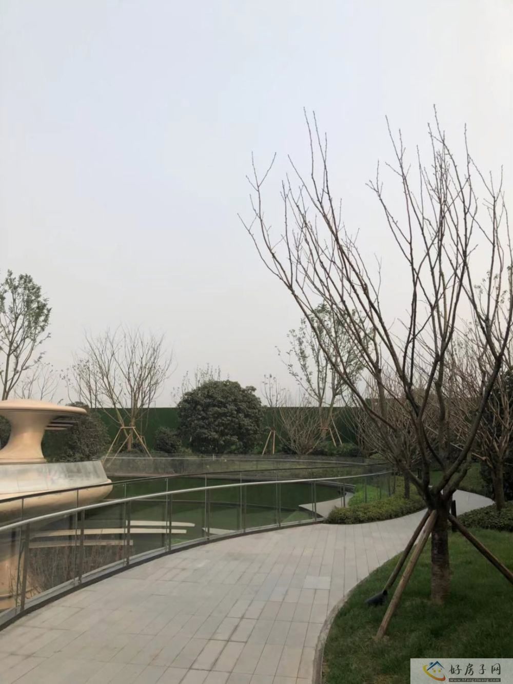 实景图