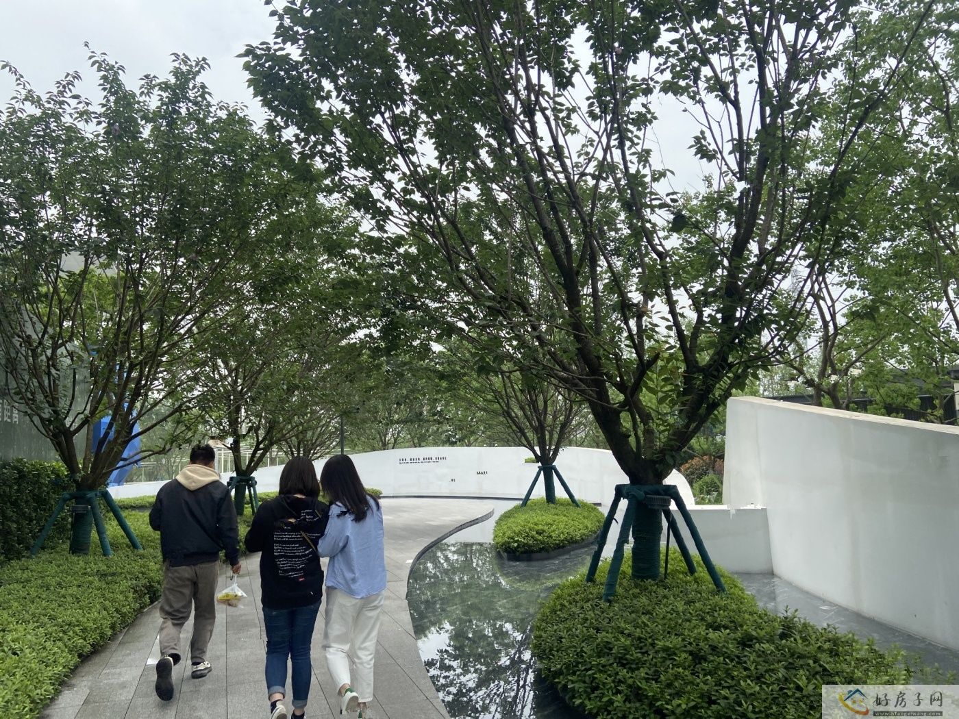 实景图
