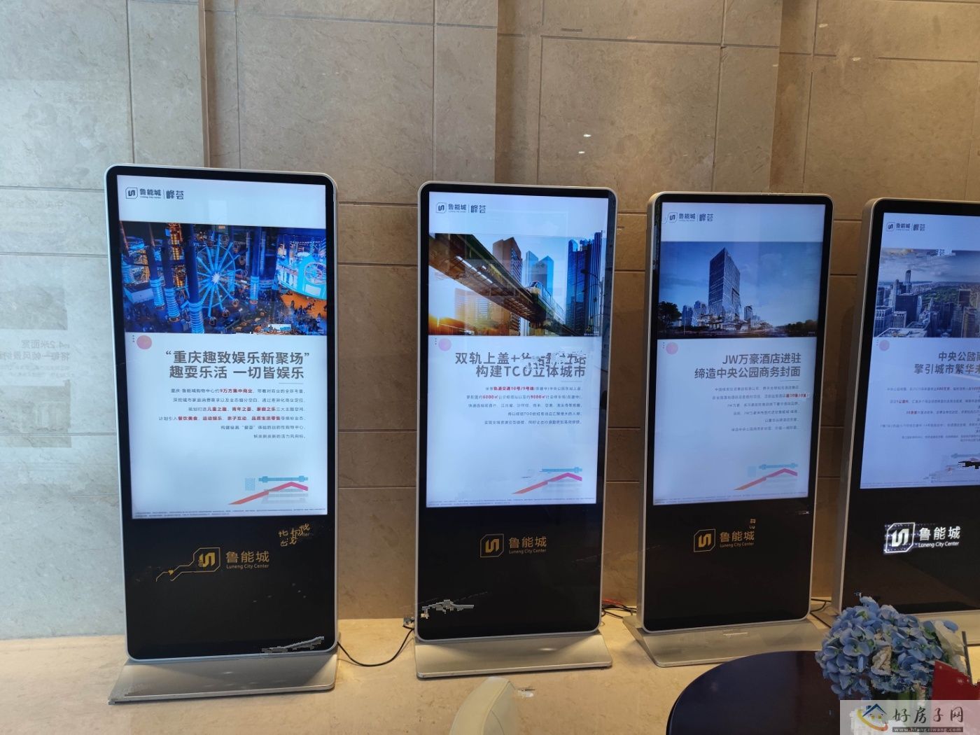 实景图