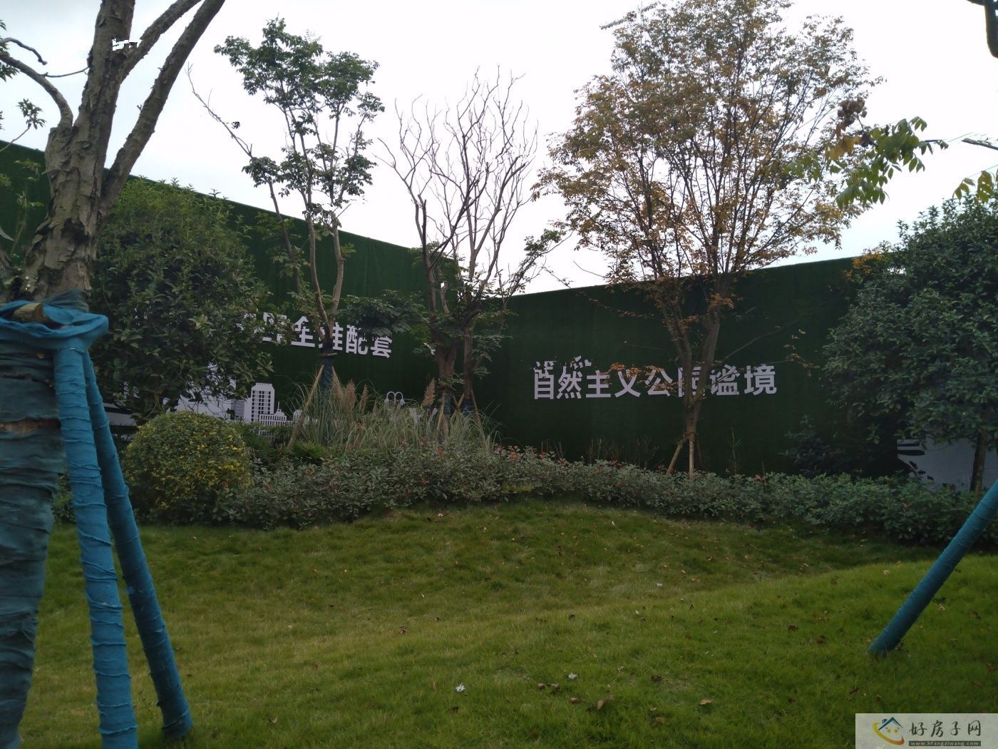 实景图