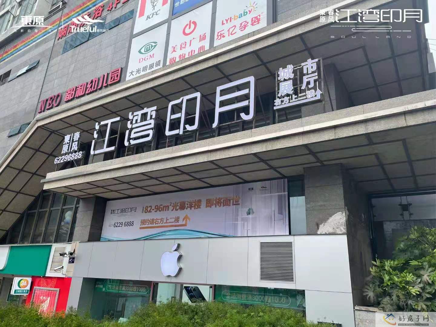 实景图