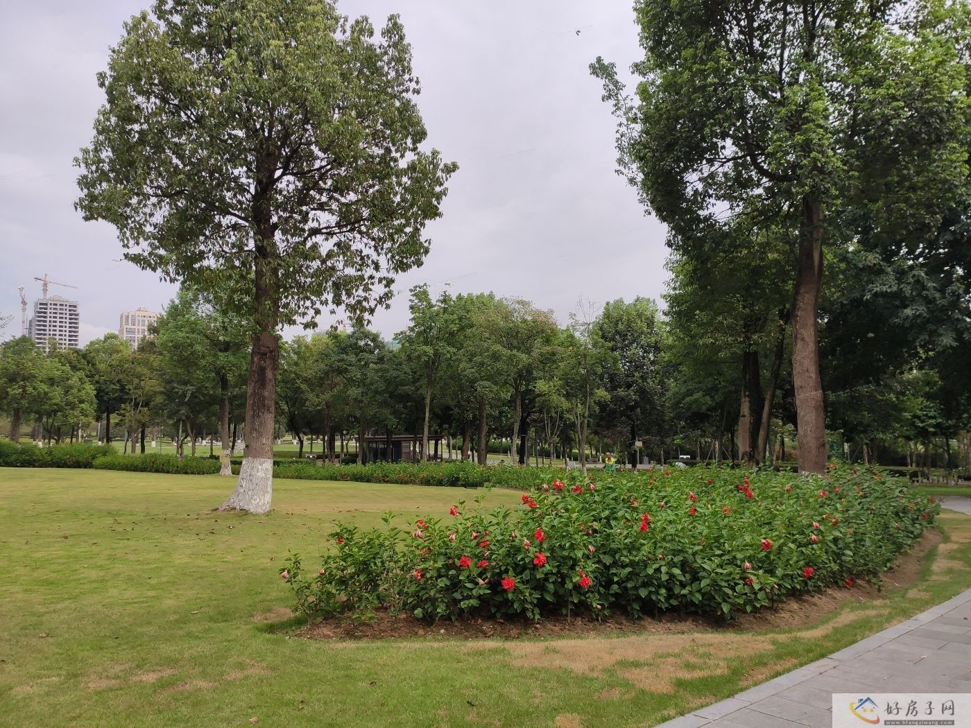 配套图