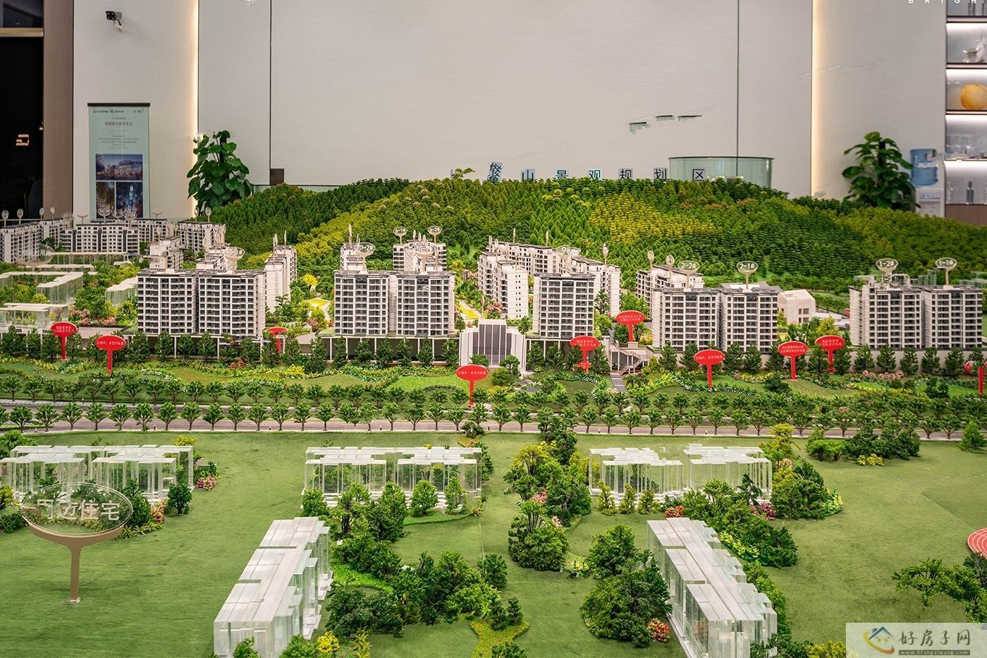 实景图