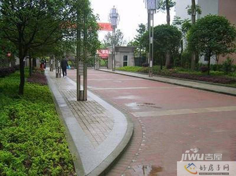 实景图