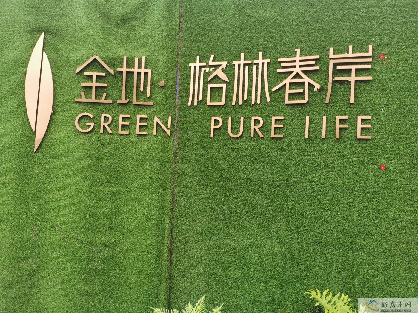 实景图