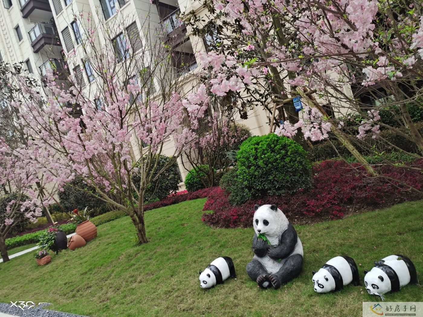 实景图