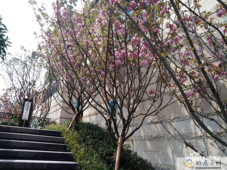 实景图
