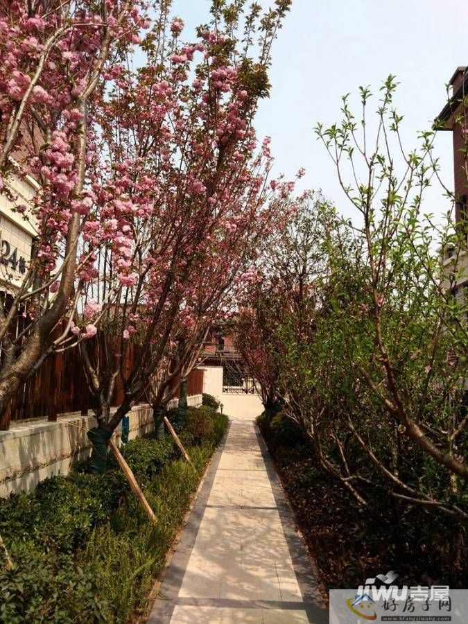 实景图