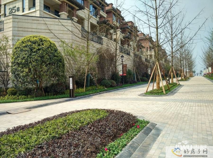 实景图