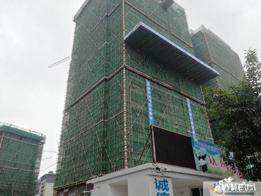 实景图