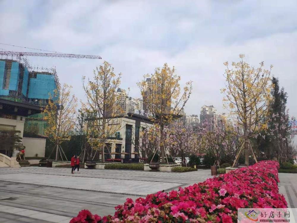实景图