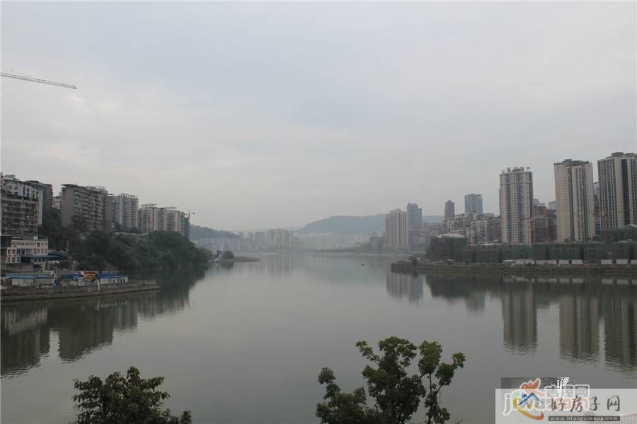 实景图