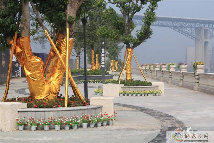 实景图