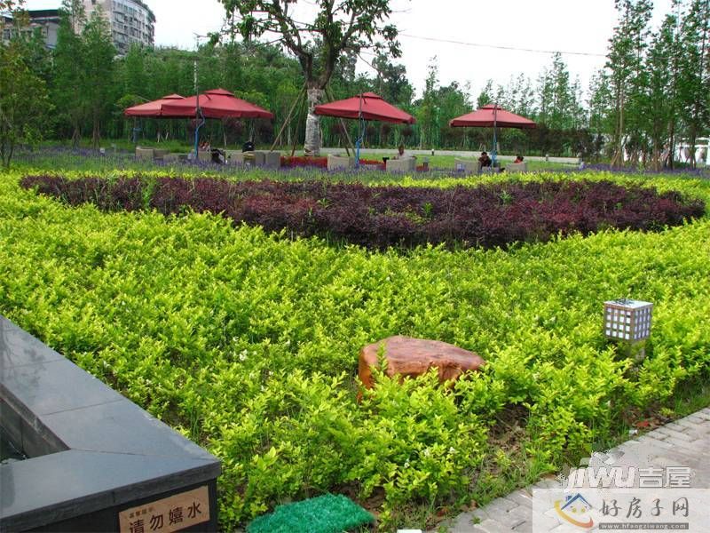 实景图