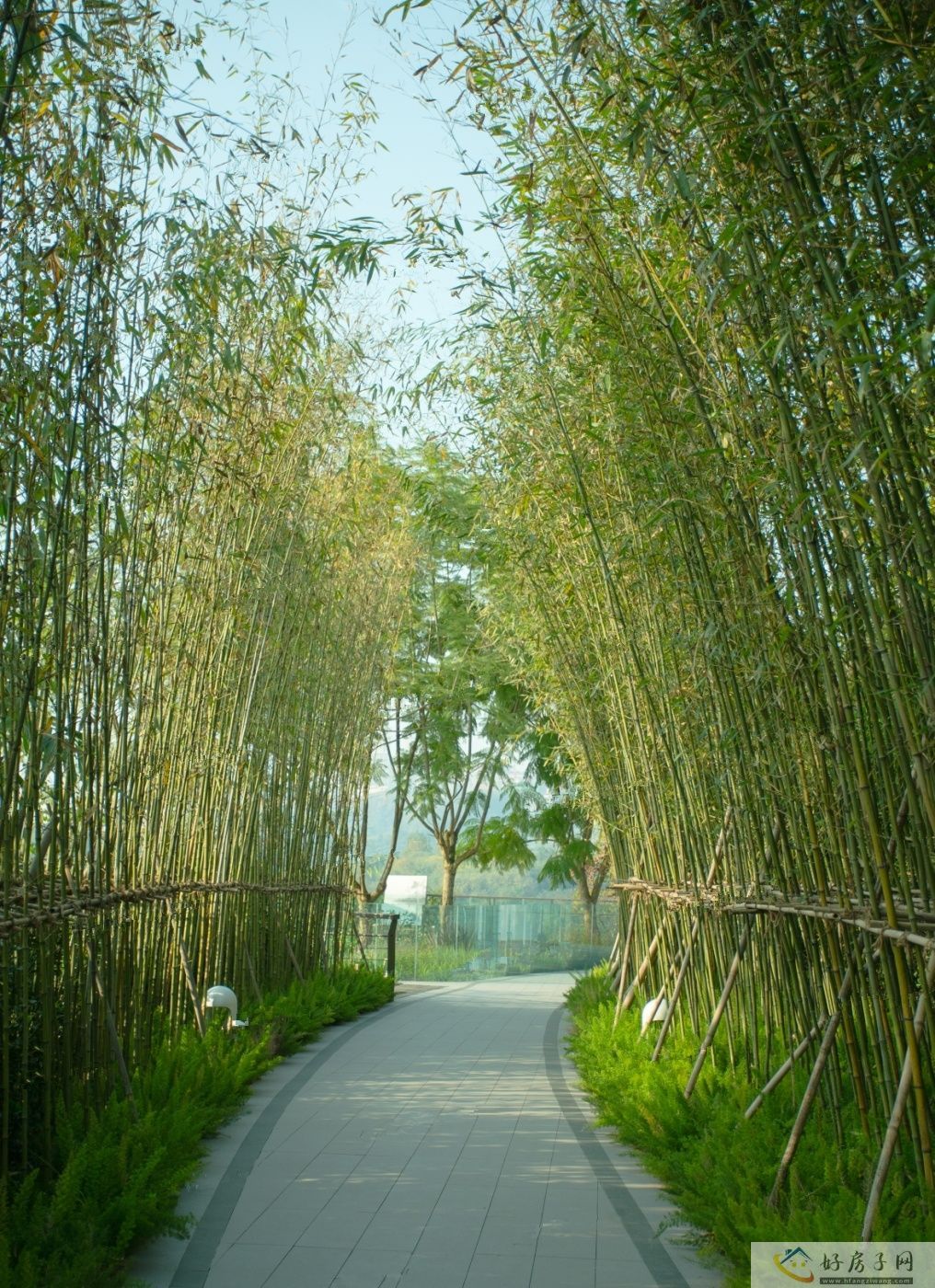 实景图