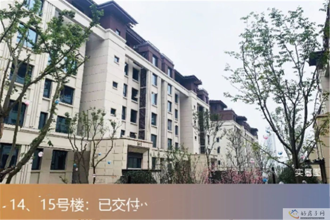 实景图