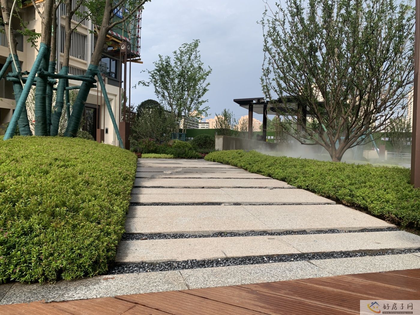实景图