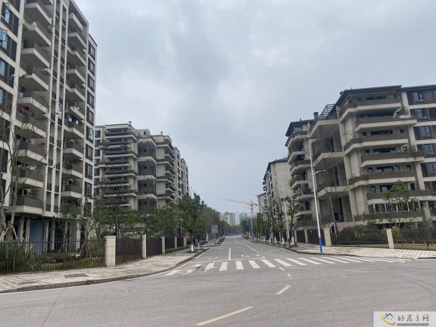 实景图