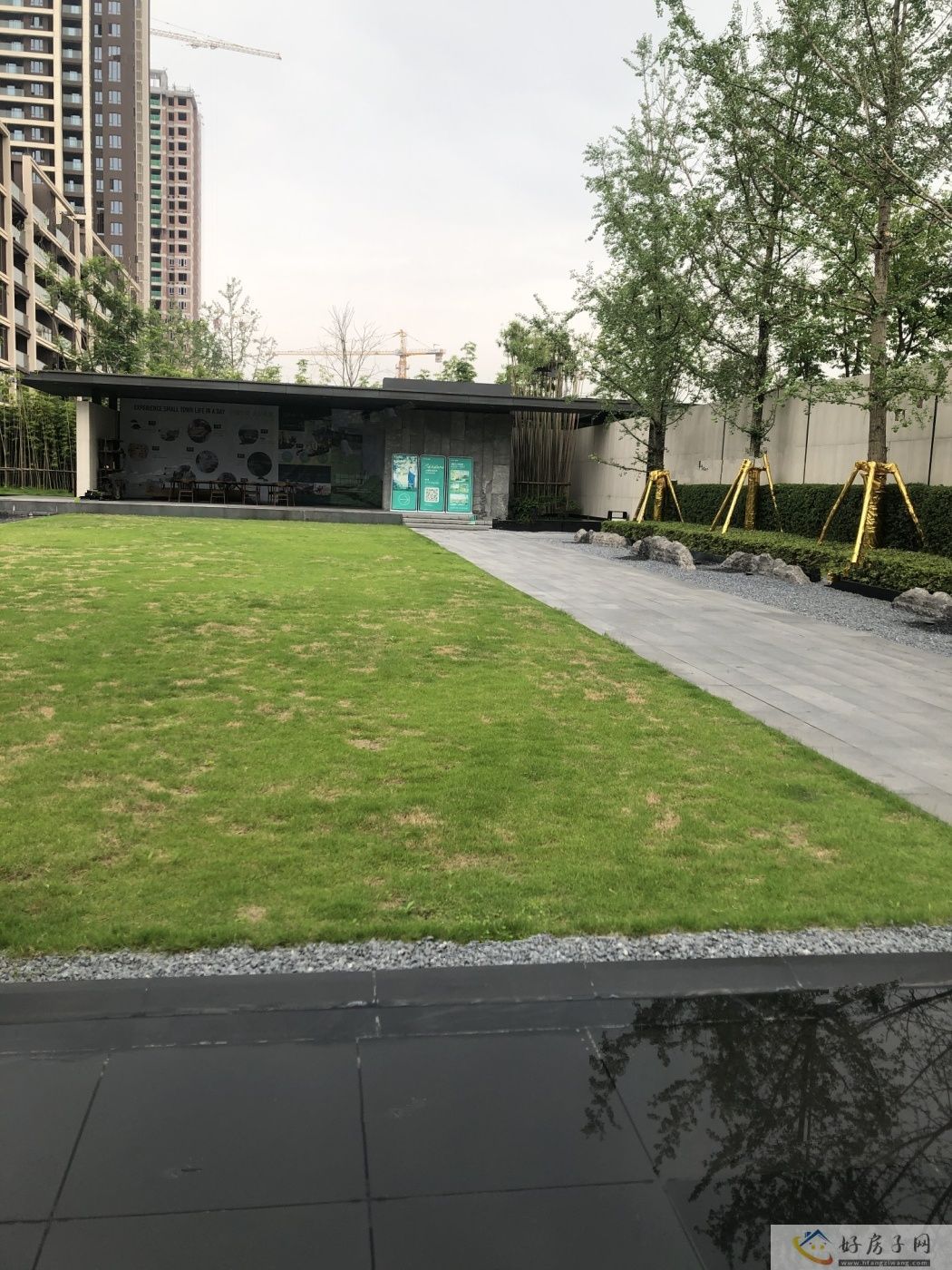 实景图