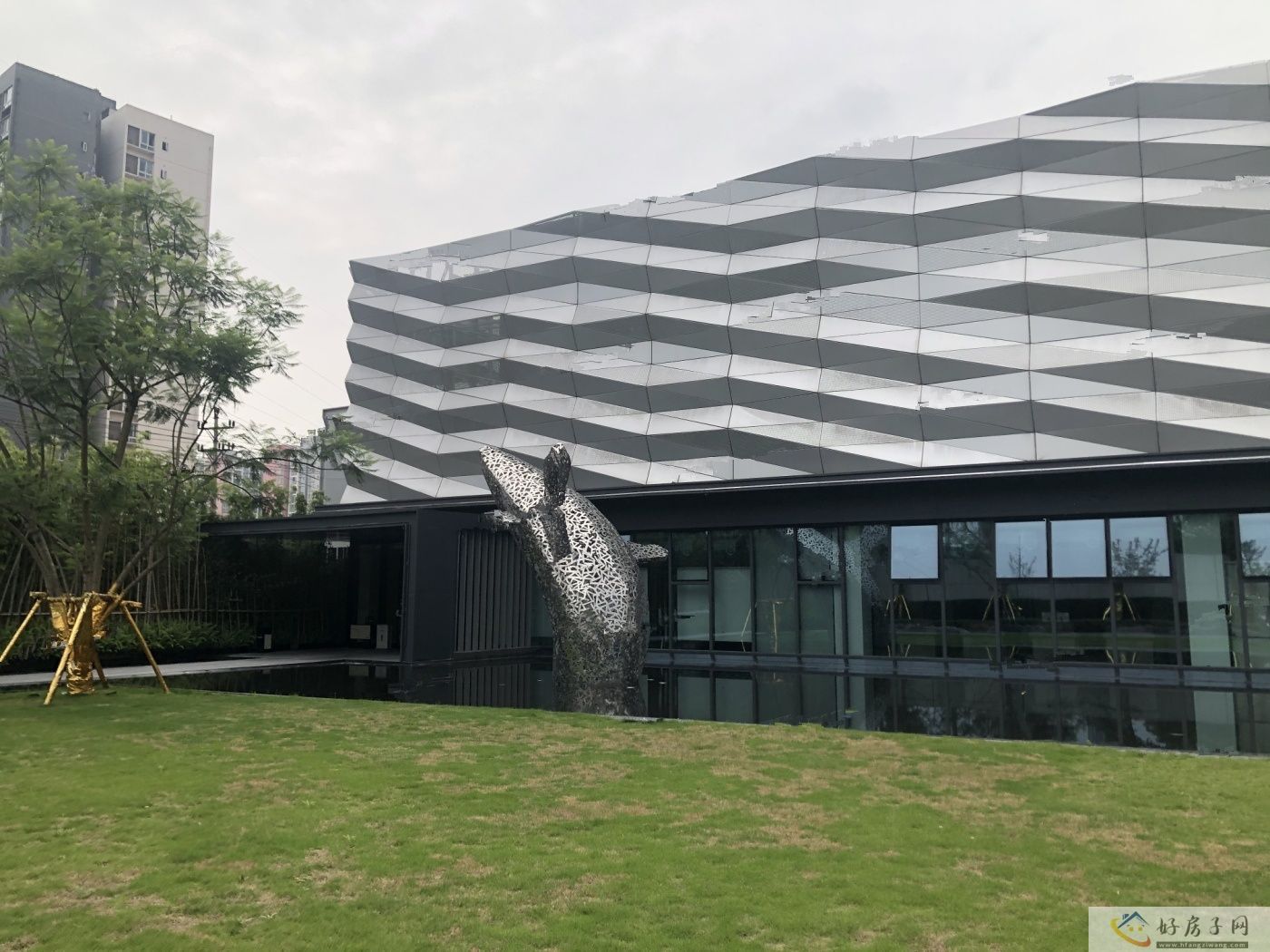 实景图