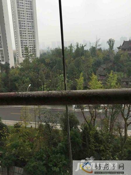 实景图