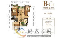 3室2厅2卫0厨 