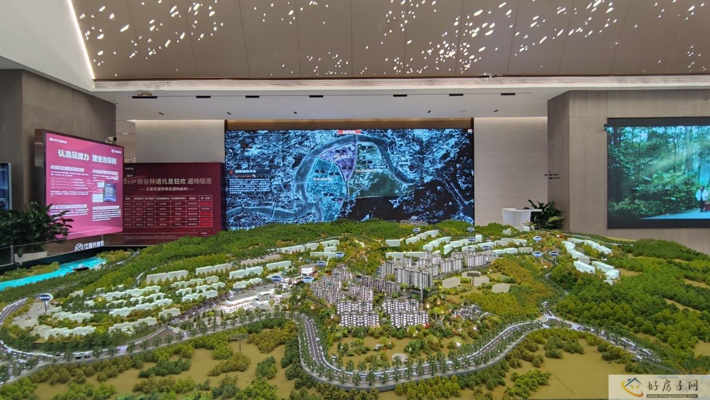 实景图